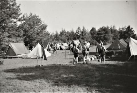 1961 Pinseleir Eldøya
